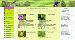 Desktop Screenshot of bylinky.net